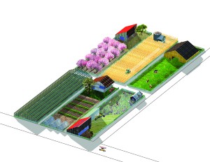 Beall Greenhouses Agrarian Living