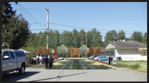 street and pedestrian connection.indd