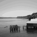 Ferry Dock Structure Dive Trace