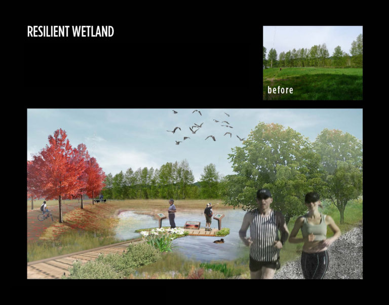 resilient wetland